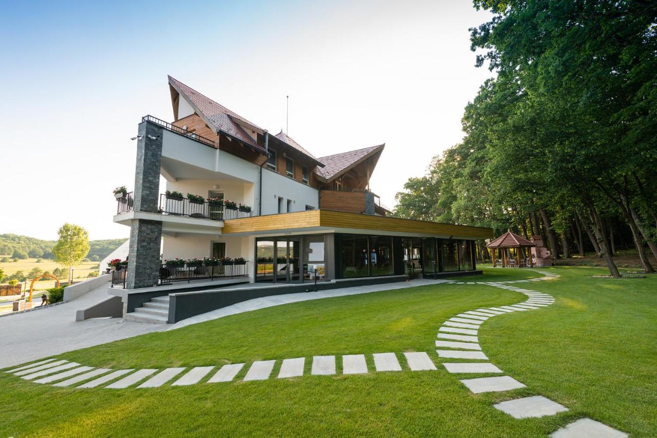 Panorama Boutique Hotel Sfântu-Gheorghe Extérieur photo