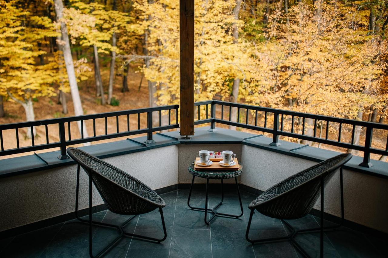 Panorama Boutique Hotel Sfântu-Gheorghe Extérieur photo