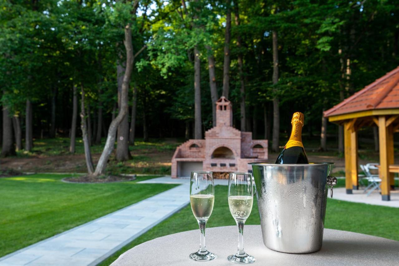 Panorama Boutique Hotel Sfântu-Gheorghe Extérieur photo