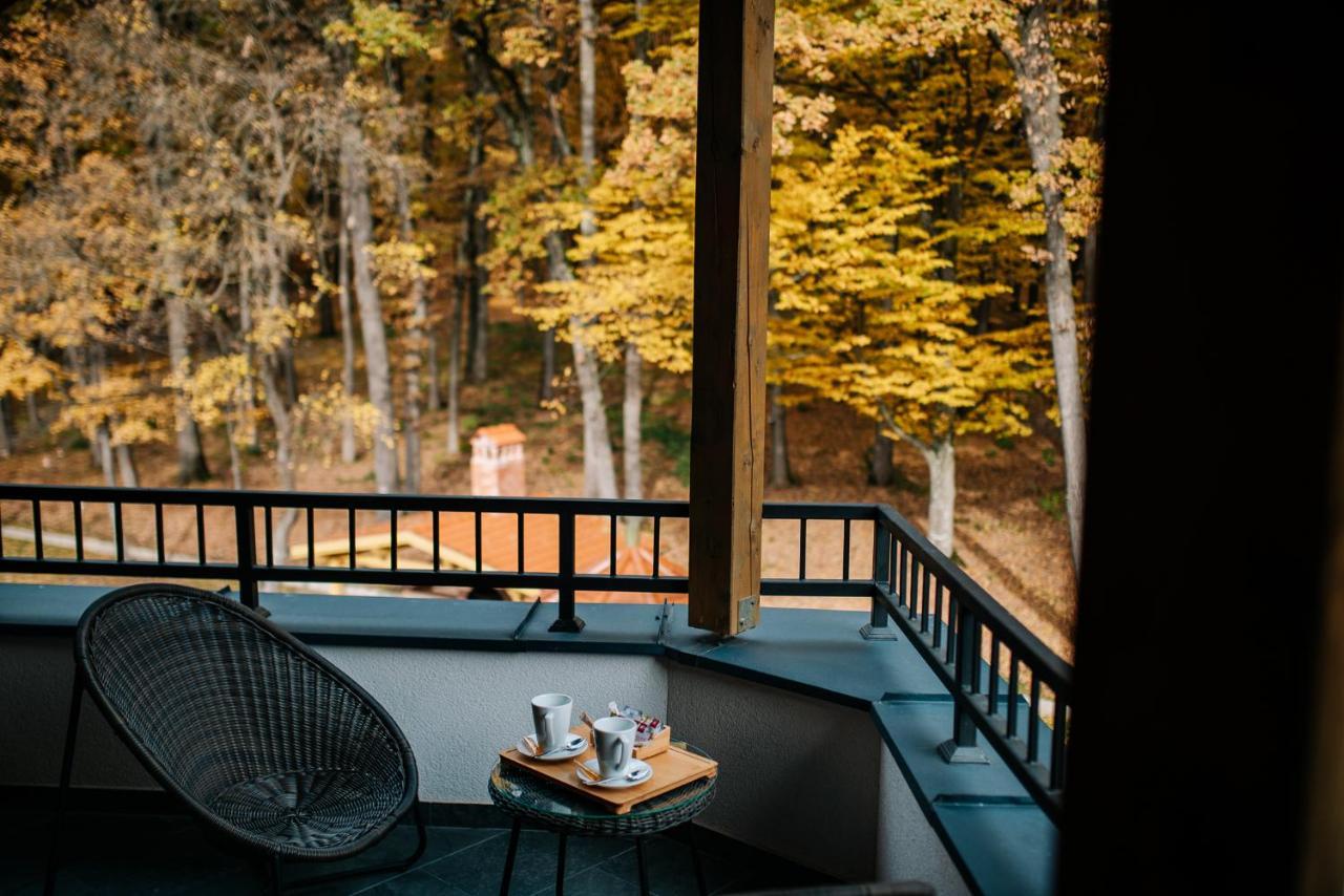 Panorama Boutique Hotel Sfântu-Gheorghe Extérieur photo